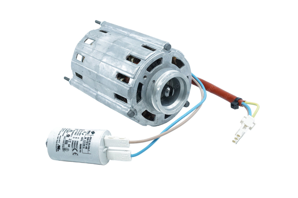 SPP9600004 - PUMP MOTOR 150W 230V 50/60Hz UL