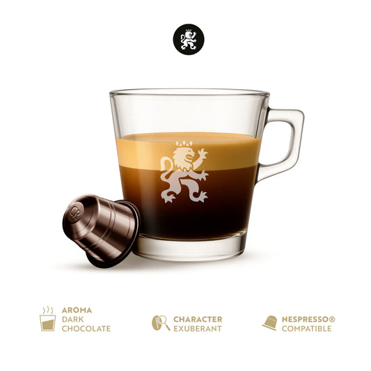 Café Royal Dark Chocolate (10 Capsules)