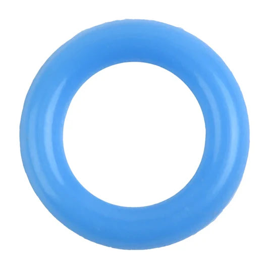 SP0001657 - O RING FOR STEAM PROBE