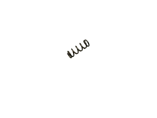 SPP1300003 - SPRING D.4 H10