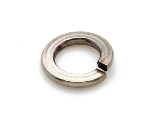 SP0001578 - WASHER SPRING LOWER BURR