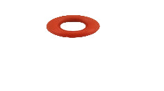 SP0001589 - O RING FOR SELECTOR VALVE