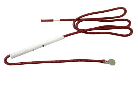 SP0024919 - FUSE STEAM BOILER KIT 240V