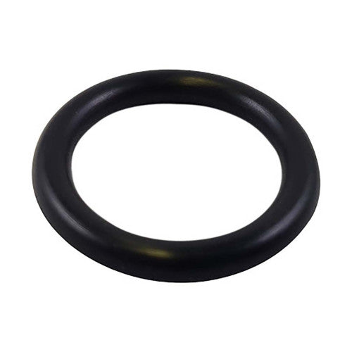 SPP8700009	- OR GASKET R10 DI12 1 t27 VITON 70SH 5