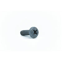 SPP9100022 - Screw 4Mx6 For Fixing The Thermostat